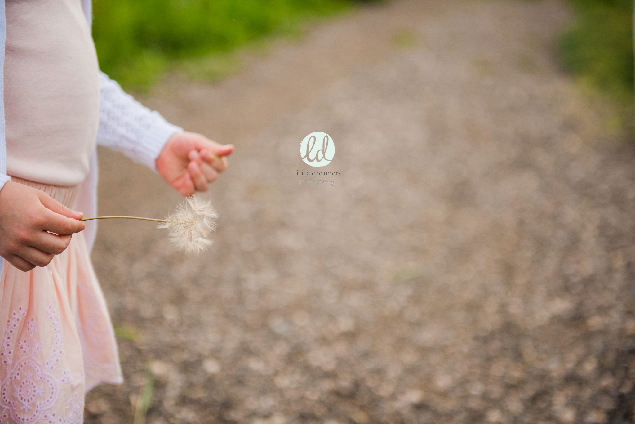 Austin Child Photographer - Little Dreamers Photography_0372