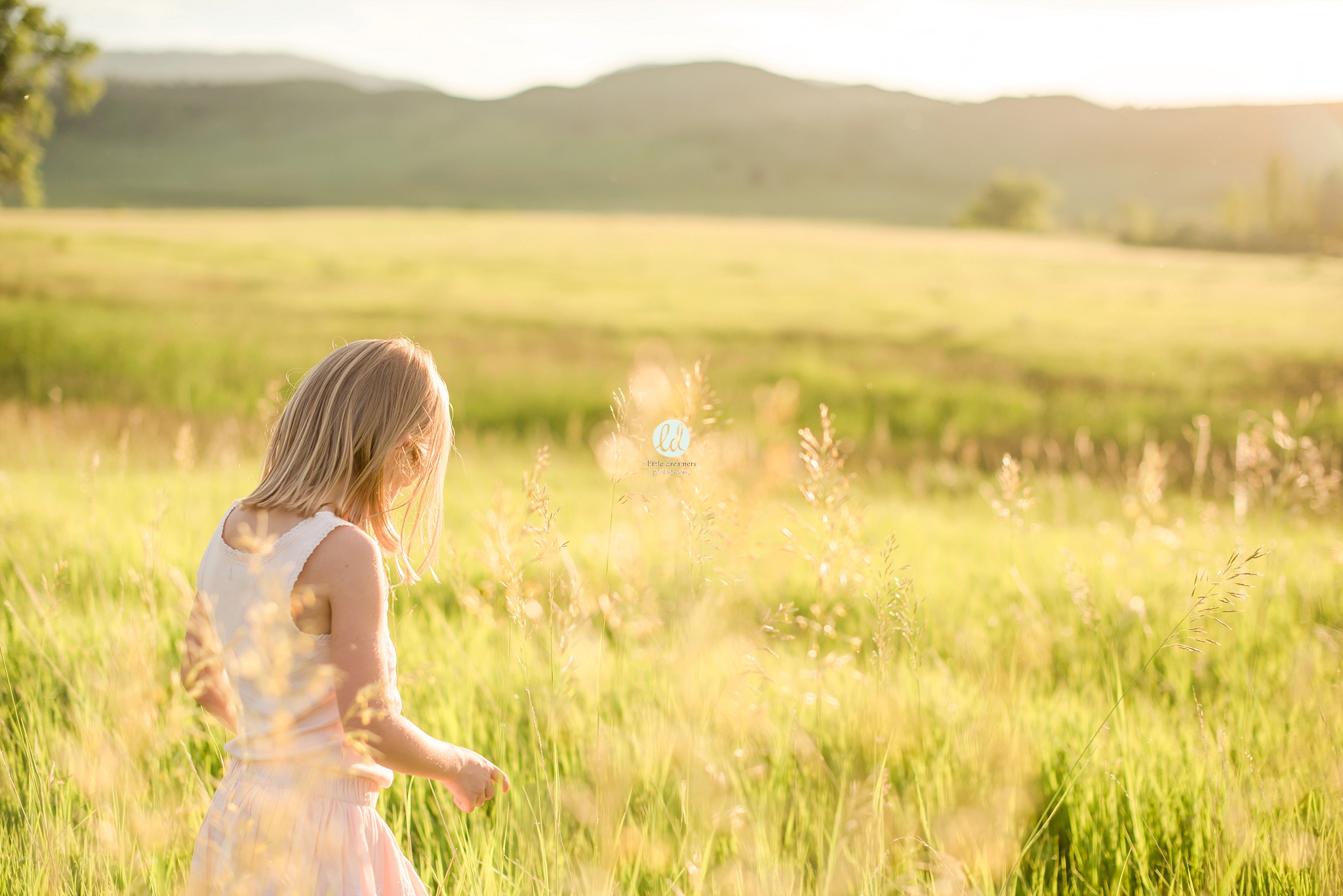 Austin Child Photographer - Little Dreamers Photography_0389