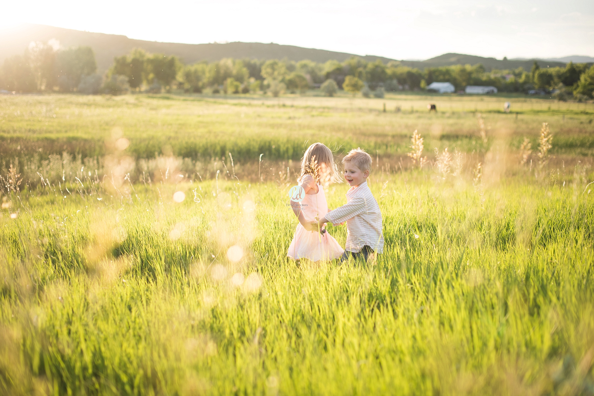 Austin Child Photographer - Little Dreamers Photography_0390