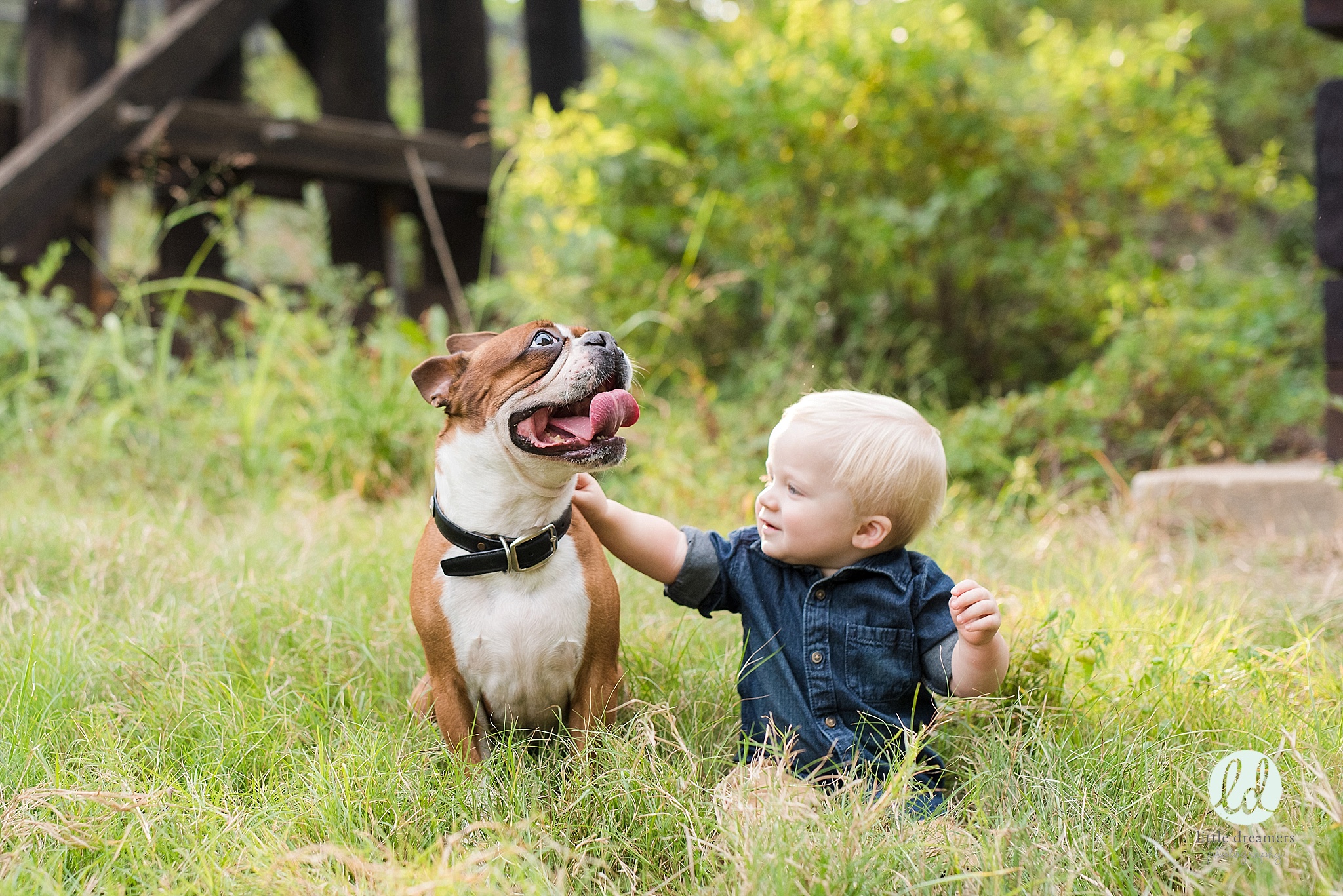 austin family photographer_0243