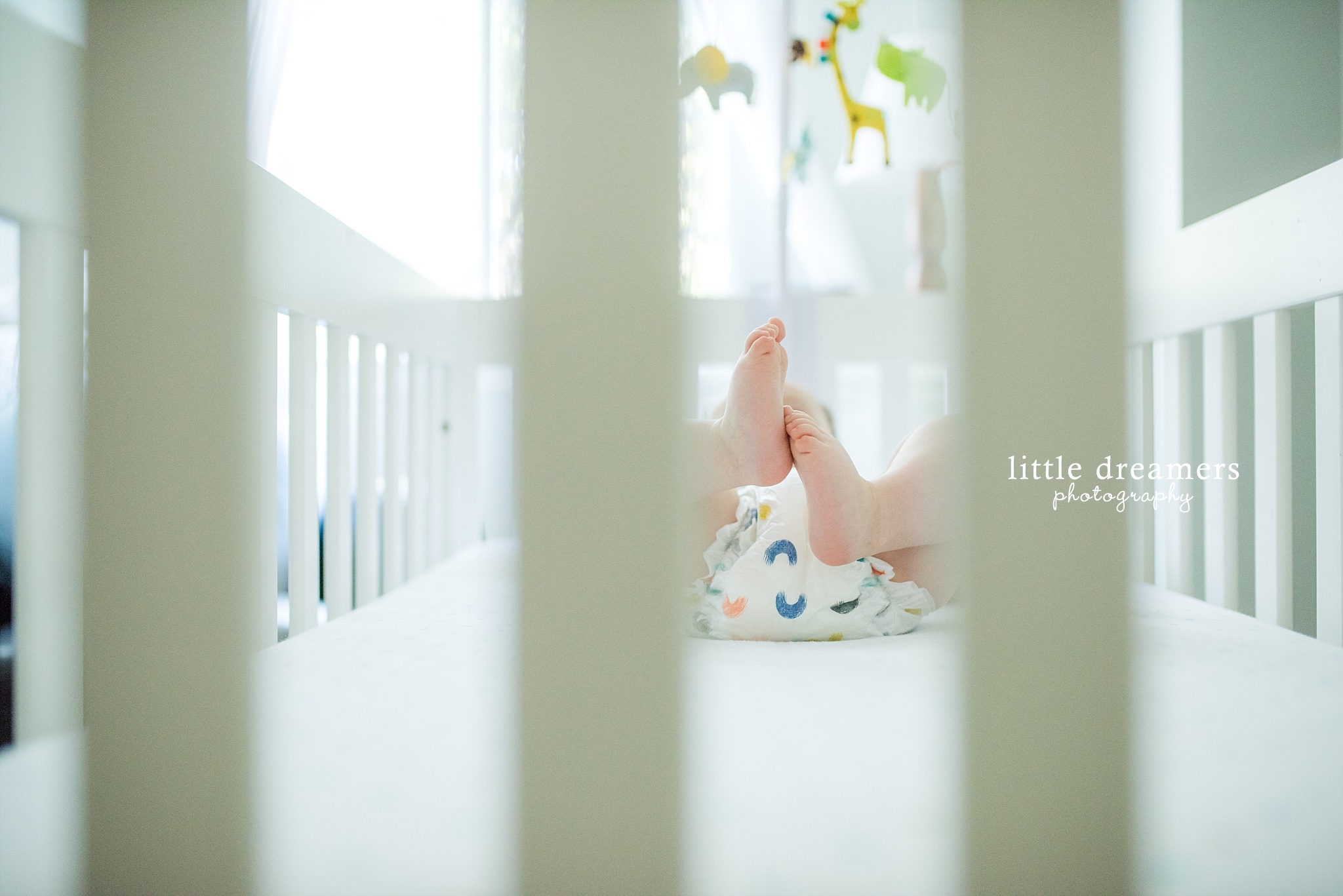 austin-lifestyle-newborn-photographer_-little-dreamers-photography_0253