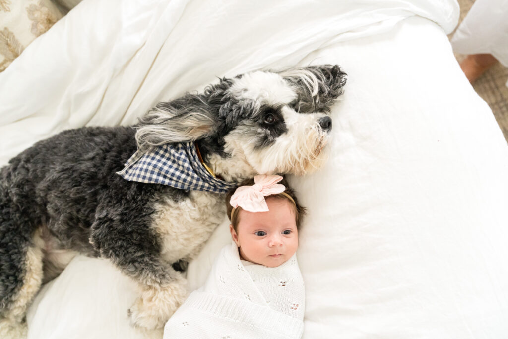 Newborn photo session with the family dog in Austin.
