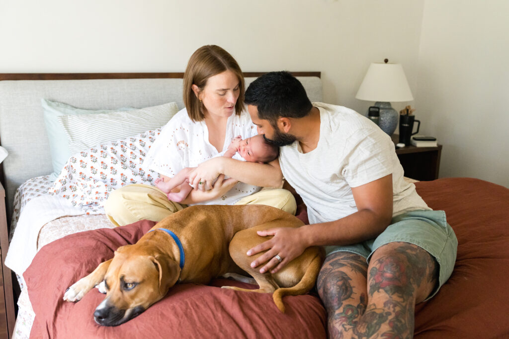  studio vs lifestyle newborn photos
